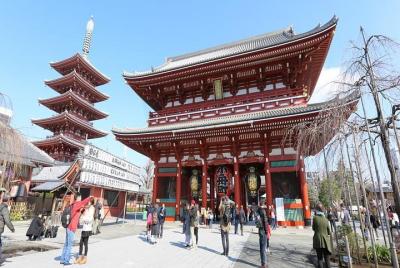 Recorrido destacado de Asakusa con guía con licencia nacional