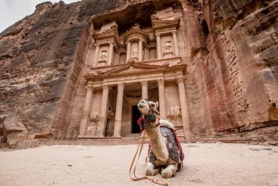 Tour privado de un día a Petra