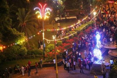 Tour mágico de Navidad en las cataratas Victoria