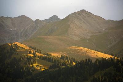 Anillo de oro de Zhetisu
