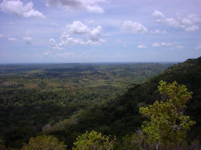 Tour en grupos pequeños: el Parque Nacional Shimba Hills desde Diani Beach