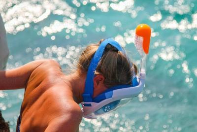 Excursión de un día a Wasini