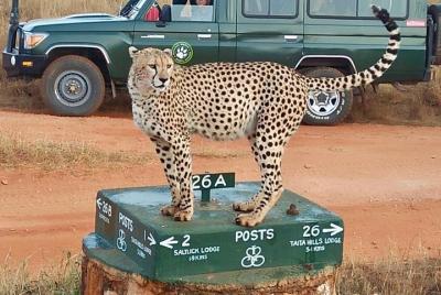 Safari de dos días con una noche en el Parque Nacional Tsavo East