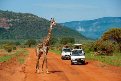 3 días Tsavo East y Tsavo West Safari (mínimo 2 pax)