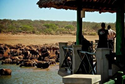 3 días 2 noches campamento Manyatta- Tsavo East