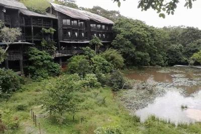 5 días Shimba Hills, Tsavo East / West Amboseli Safari