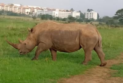 Nairobi National Park City unidad de juego Sunrise Nairobi National Park City unidad de juego Sunrise