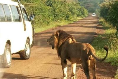 Servicio de recogida / devolución gratuito en el parque nacional 
