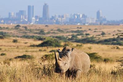 Nairobi national park