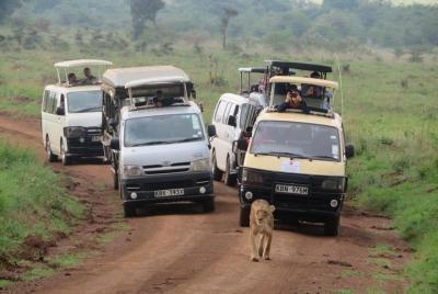 Excursión de un día al Parque Nacional de Nairobi, el orfanato de