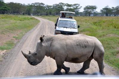 Visita guiada de un día al Parque Nacional de Nairobi, el centro 