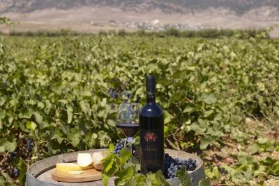 Tour privado de un día con cata de vinos desde Beirut Tour privado de un día con cata de vinos desde Beirut