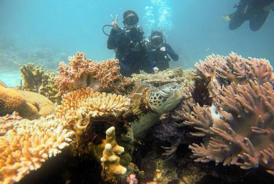 Excursión de un día a la isla de Semporna Snorkeling (Boheydulang