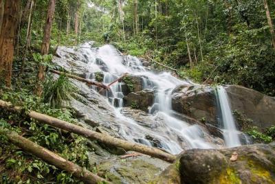 Templer’s Park Tour (SIC Tour)