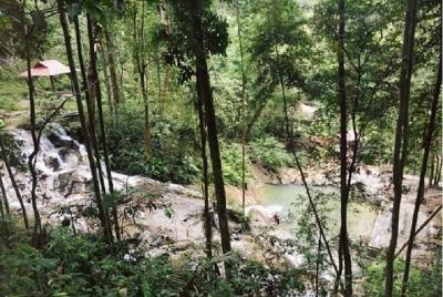 Tour a una maravillosa cascada en una selva tropical
