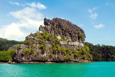 Tour privado de manglares de Langkawi y SkyCab Tour