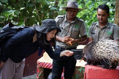 Boleto de entrada al Parque Natural de Langkawi