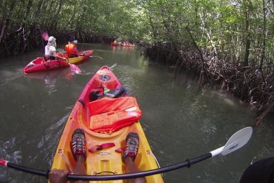 Experiencia de kayak en el manglar Langkawi con almuerzo