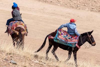 Excursión privada de un día a las montañas del Atlas que incluye almuerzo con la familia bereber Excursión privada de un día a las montañas del Atlas que incluye almuerzo con la familia bereber