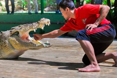 Boleto de entrada a Crocodile Adventureland