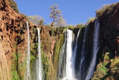 Excursión privada de día completo a las cataratas de Ouzoud desde Marrakech