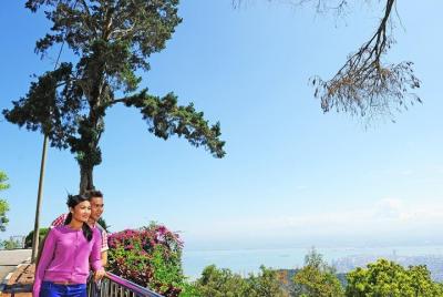 Tour grupal: exploración de Pulau Penang de día completo con guía de habla inglesa