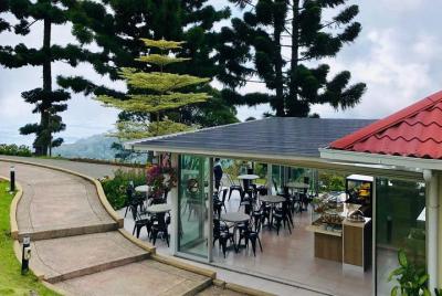 Excursión de día completo a Kedah y al Monte Jerai con almuerzo desde Penang Excursión de día completo a Kedah y al Monte Jerai con almuerzo desde Penang