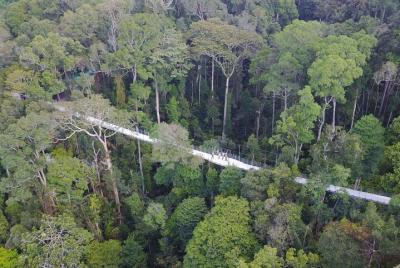 Boleto de entrada a la colina Habitat Penang