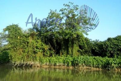 Descubriendo la gema natural de Penang - El sendero del río Descubriendo la gema natural de Penang - El sendero del río