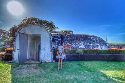 Explore Georgetown Half-Day Penang Island Tour (SIC-Shared / Join Tour)