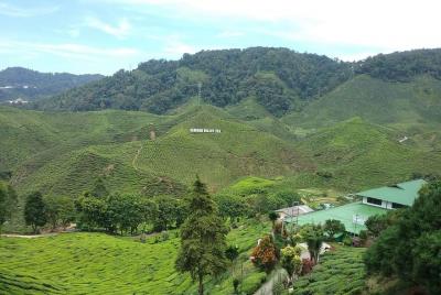  Cameron Highlands Tour por el campo
