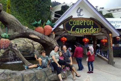 Cameron Highlands: Tour Agro Delight