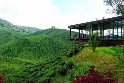 Cameron Highlands a Kuala Lumpur City traslado de ida