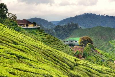 Cameron Highlands City al aeropuerto de Kuala Lumpur