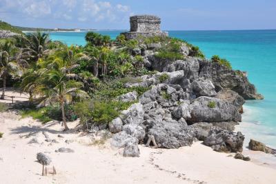 5x1 Tulum por Mar y Tierra. lancha, club de playa & Snorkel 5x1 Tulum por Mar y Tierra. lancha, club de playa & Snorkel