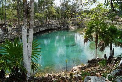 Tulum, Coba y Cenote: Tour de día completo