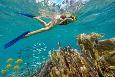 Tour de snorkel en el arrecife de Puerto Morelos con recogida en 