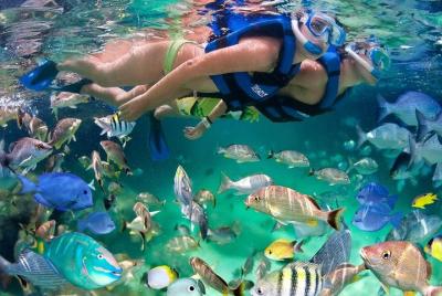 Descubre Isla Mujeres con este tour con snorkel, buffet y barra l