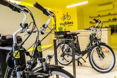 Alquiler de bicicletas eléctricas (medio día, 6 horas)