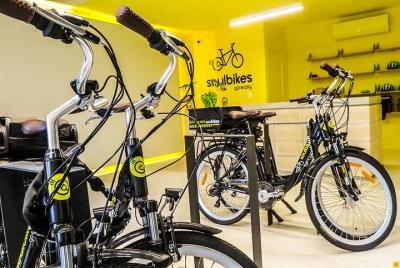 Alquiler de bicicletas eléctricas (día completo)