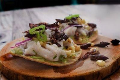 Degustación de Platillos Pre-Hispánicos con Insectos