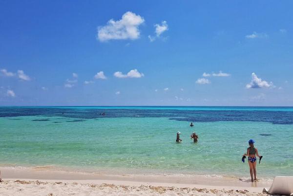 : Cozumel: Alrededor de la isla y Ecoparque Punta Sur  Cozumel