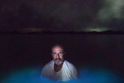 Bioluminiscencia en kayak o tabla de remo Bioluminiscencia en kayak o tabla de remo