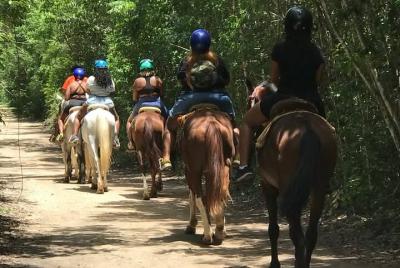 Cabalgata, cuatrimotos, tirolinas, cenote, puente colgante, almue