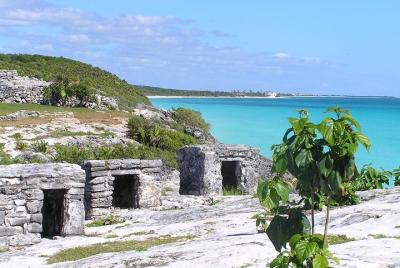 Coba y Tulum con Cenote Swim Regional Buffet y transporte desde C