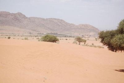 pequeño desierto y Oasis Massa en minibús