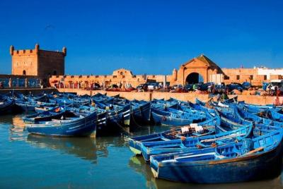 Excursión de un día a Agadir a Essaouira