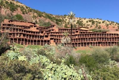 Apicultura y crocoparc Excursión de medio día con guía