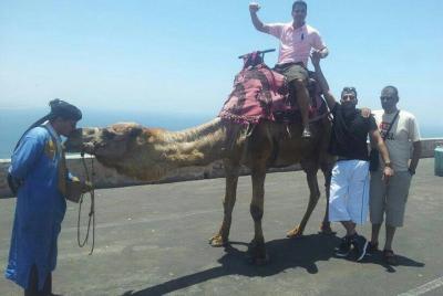 Agadir Camel Riding