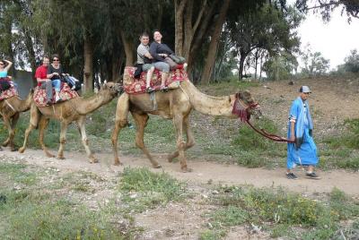 camello Agadir